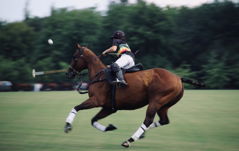 A Legal Primer For Horseback Riding Activities - WaiverForever